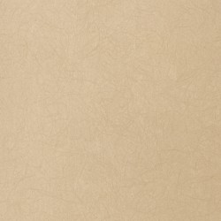 Обои Bernardo Bartalucci Legend 5068-80